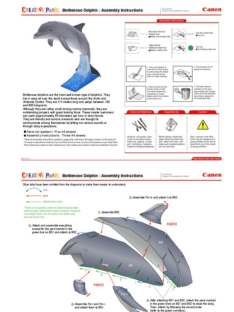 Bottlenose Dolphin Assembly Guide | PDF | Nature
