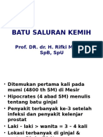 Batu Saluran Kemih - Prof - Rifki