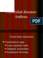 Anaerobes and Anthrax