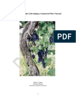 Draft Copy of A Practical Guide To Developing A Commercial Wine Vineyard