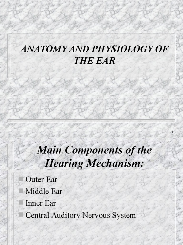 Anatomy and Physiology of The Ear | PDF | Ear | Auditory System