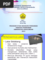 Download TEKNIK PEMBENIHAN BOTIA Chromobotia Macracanthus by Aishie Aurora Ozora SN328720779 doc pdf
