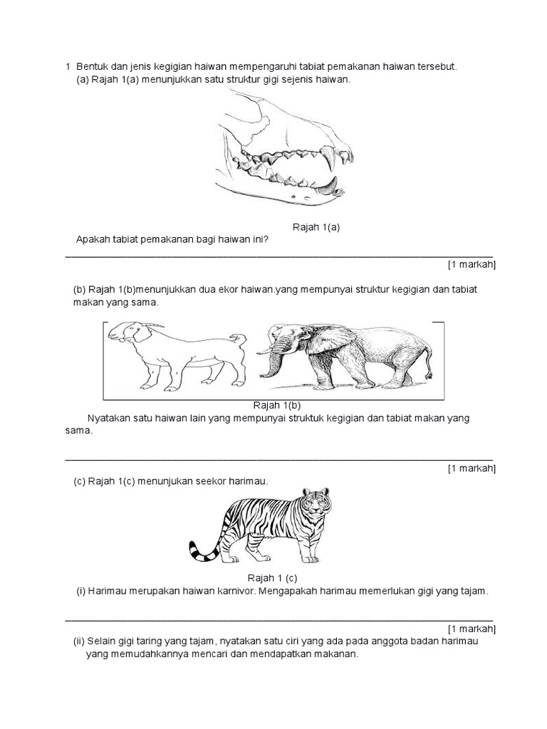 1 Bentuk Dan Jenis Kegigian Haiwan Mempengaruhi Tabiat Pemakanan Haiwan Tersebut Pdf