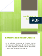 Insuficiencia Renal Cronica