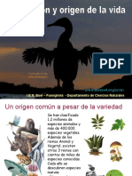 1 Evolucion - Fiismo y Evolucionismo