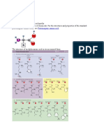 Amino Acid