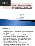 Download Orthopaedic Congenital Disease by Denise Johnson SN328729645 doc pdf