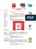 Physiology of The Muscular Sys