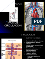 Circulacion General y Especiales