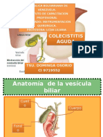 Colecistitis Aguda