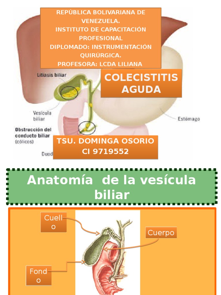 Colecistitis Aguda | Vesícula biliar | Sistema exocrino