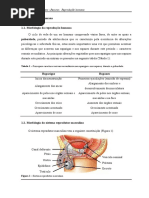 Resumo Reprodução Humana