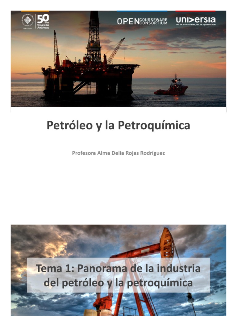 Panorama de La Industria Del Petroleo y La Petroquimica | PDF ...