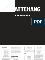 Kummerbuben Booklet Schattehang