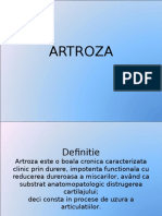 Art Roza