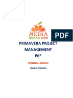 Primavera P6 - Manual Básico