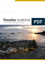 Florestas Marinhas