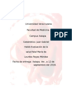 Evaluación de la salud fetalcopia