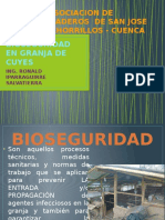 Bioseguridad en Granja de Cuyes