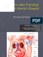 Anatomi Dan Fisiologi Saluran Kemih Bawah, DR Rizkar