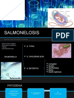 Salmonella en Cerdos