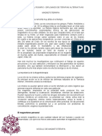 Memorias Magnetoterapia PDF