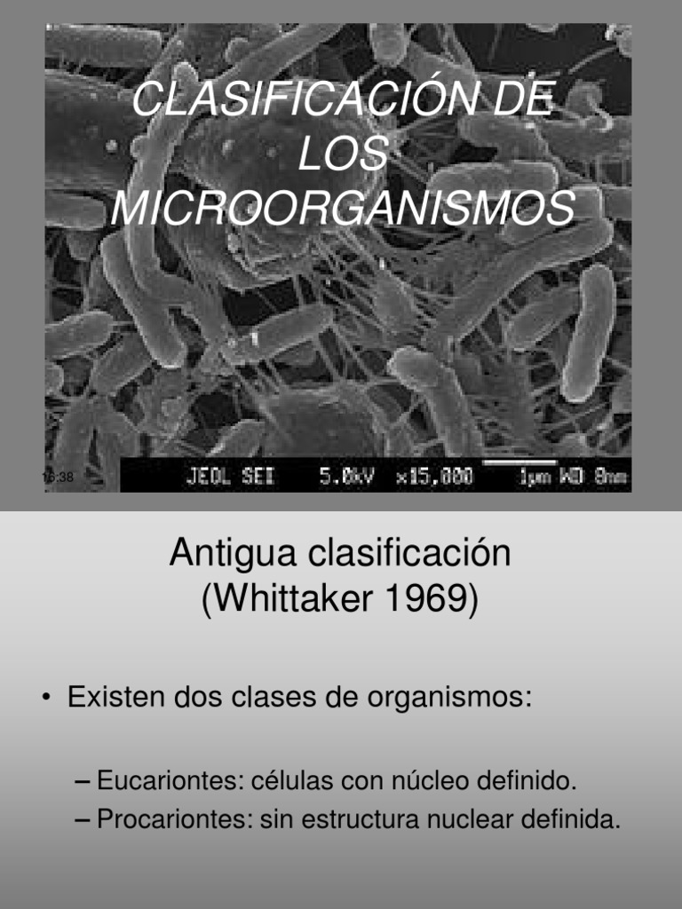 Clasificación de Microorganismos y Bacterias | PDF | Procariota | Las ...