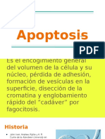 Apoptosis