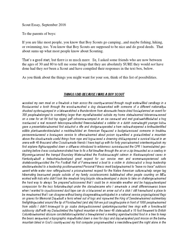 Eagle scout project essay picture