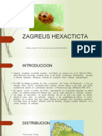 ZAGREUS HEXACTICTA PPT