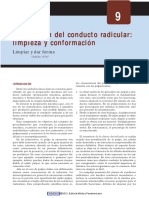 limpieza y conformacion endo.pdf