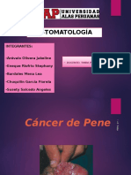 Cancer de Pene