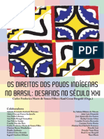 Os Direitos Dos Povos Indígenas No Brasil - Desafios No Século XX PDF
