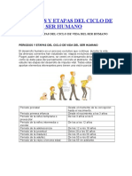 Periodos y Etapas Del Ciclo de Vida Del Ser Humano