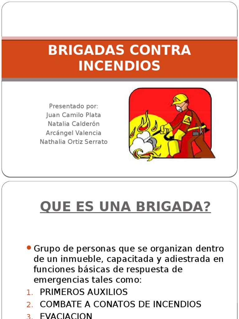 Guía de Brigadas Contra Incendios | PDF | Vulnerabilidad | Riesgo
