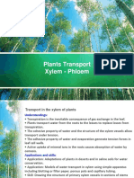 Transport Xylem and Phloem 2015 PDF