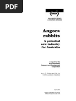 Angora rabbits