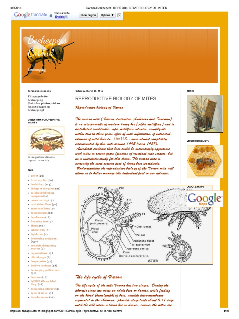 Corona Beekeepers - Reproductive Biology of Mites | PDF | Honey Bee ...