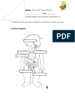 guasistemasdelcuerpohumano-121211202743-phpapp02.docx