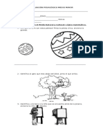 Formato Prueba Reducida para Medio Mayor