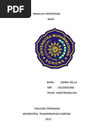 MAKALAH HIDROPONIK MAKALAH HIDROPONIK