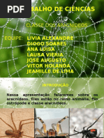 ARACNÍDEOS JEAMILLE