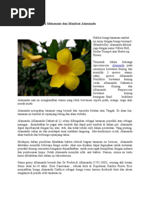 terkeren 15+ gambar bunga alamanda dan bagiannya - gambar