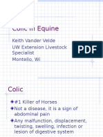 Colic and founderInEquine2002.ppt