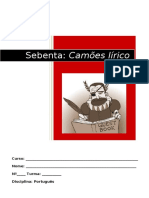 liricacamoniana (3).pdf