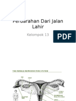 Perdarahan Dari Jalan Lahir