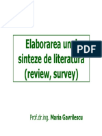 lit review.pdf