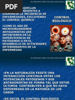 Download ANTIBIOSIS by Leydi Yudith Angarita Bautista SN3288649 doc pdf