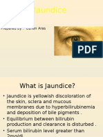 Jaundice