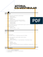 Analizatorul Acustico-Vestibular